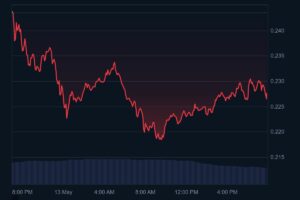 Dogecoin (DOGE) price