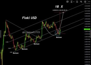 FLOKI Coin Price Breakout