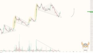 FLOKI Coin Price