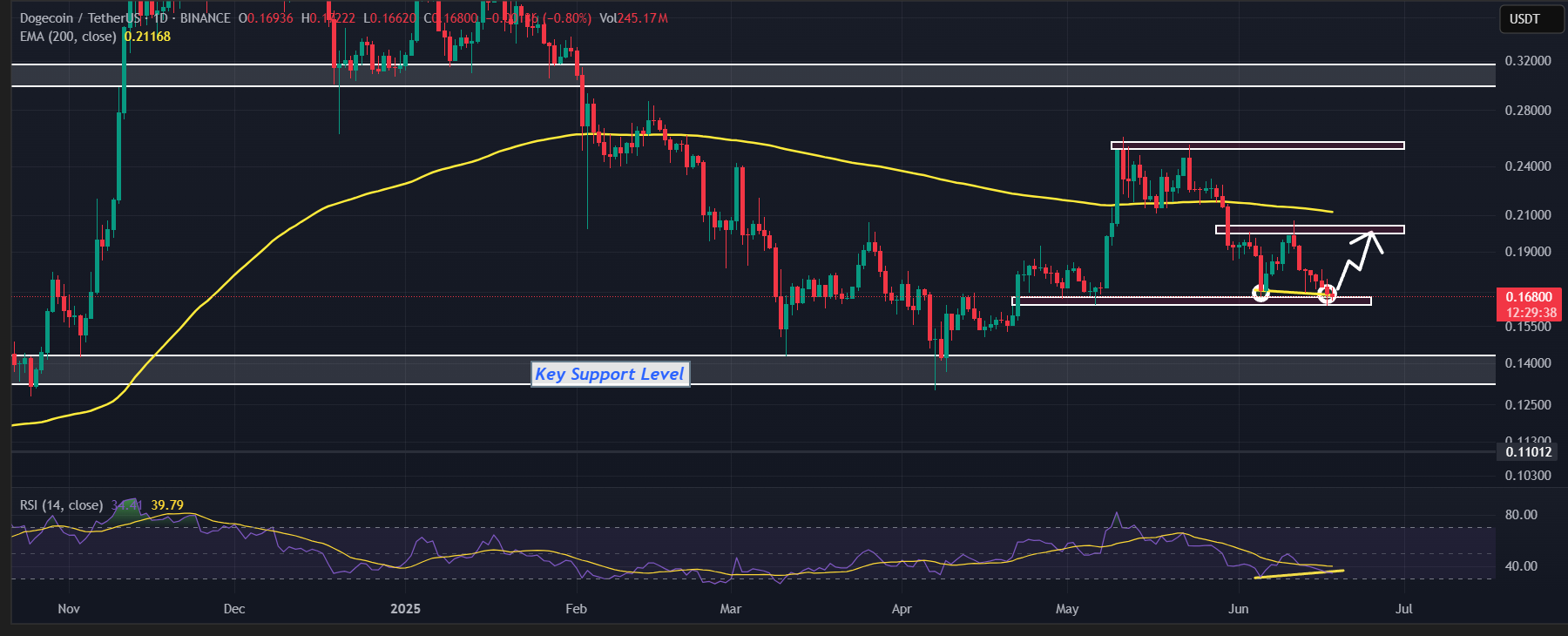 Dogecoin (DOGE) price action