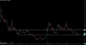 Trump Coin Price Action