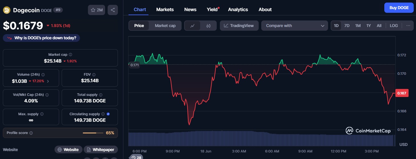 Dogecoin (DOGE) Current price momentum