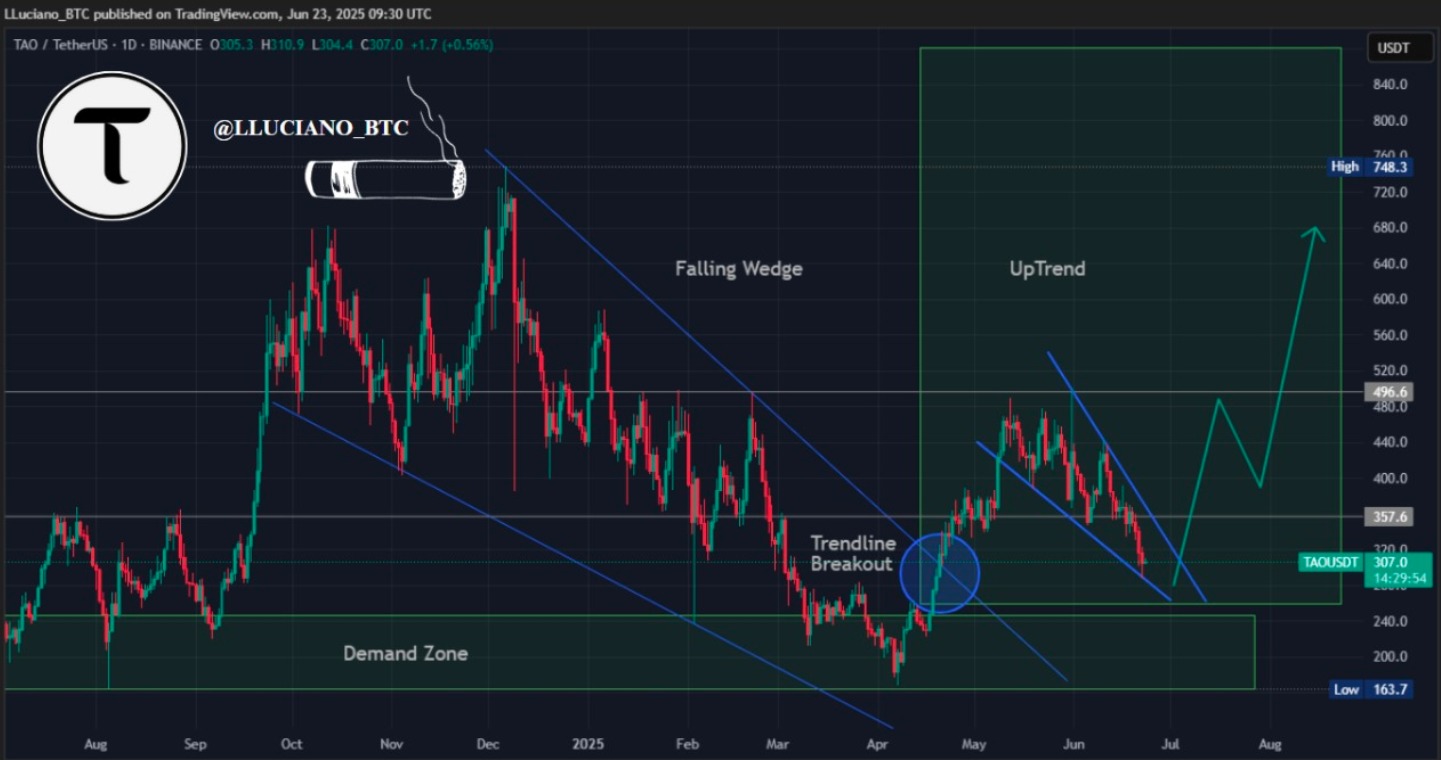 TAO 1-day Chart