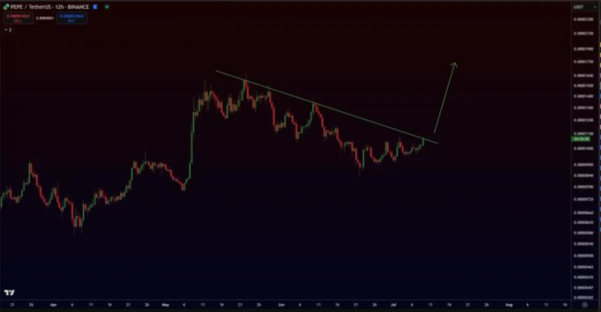 Pepe Price 12-Hour Chart