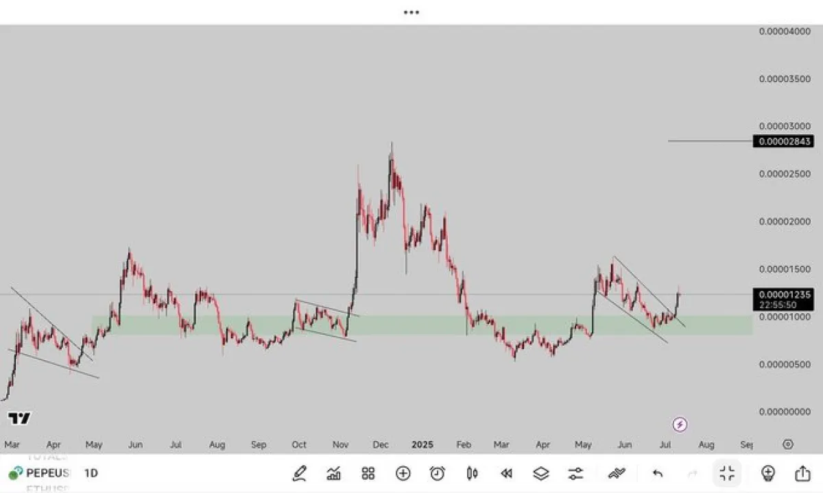 PEPE Coin Price 1-Day Chart