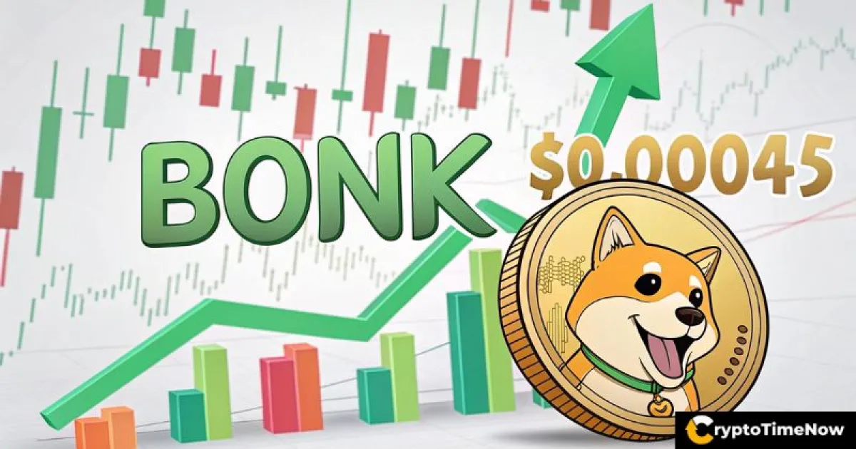 BONK Crypto
