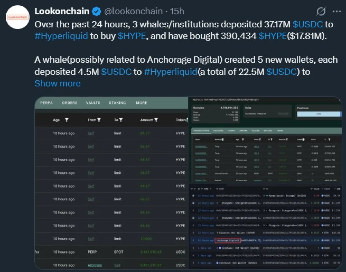 Whales Buy $18 million of HYPE