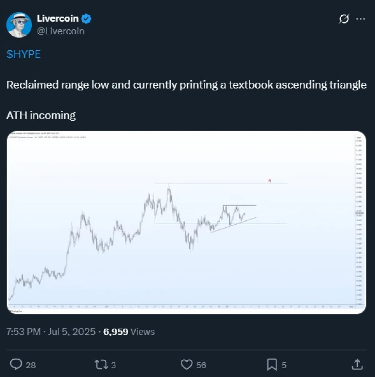 Experts Predict New All-Time High for HYPE