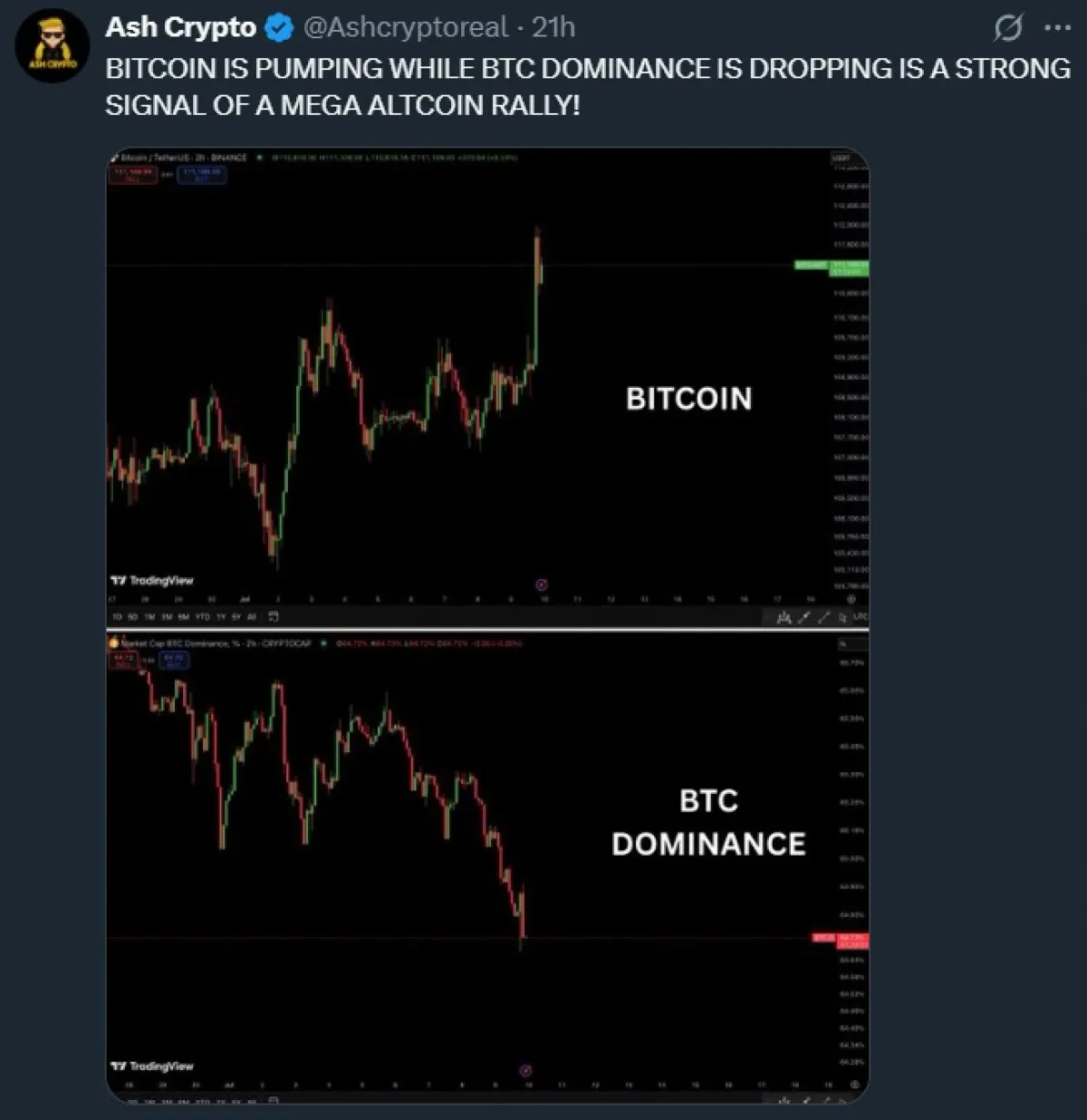 Bitcoin Price and BTC Dominance Chart