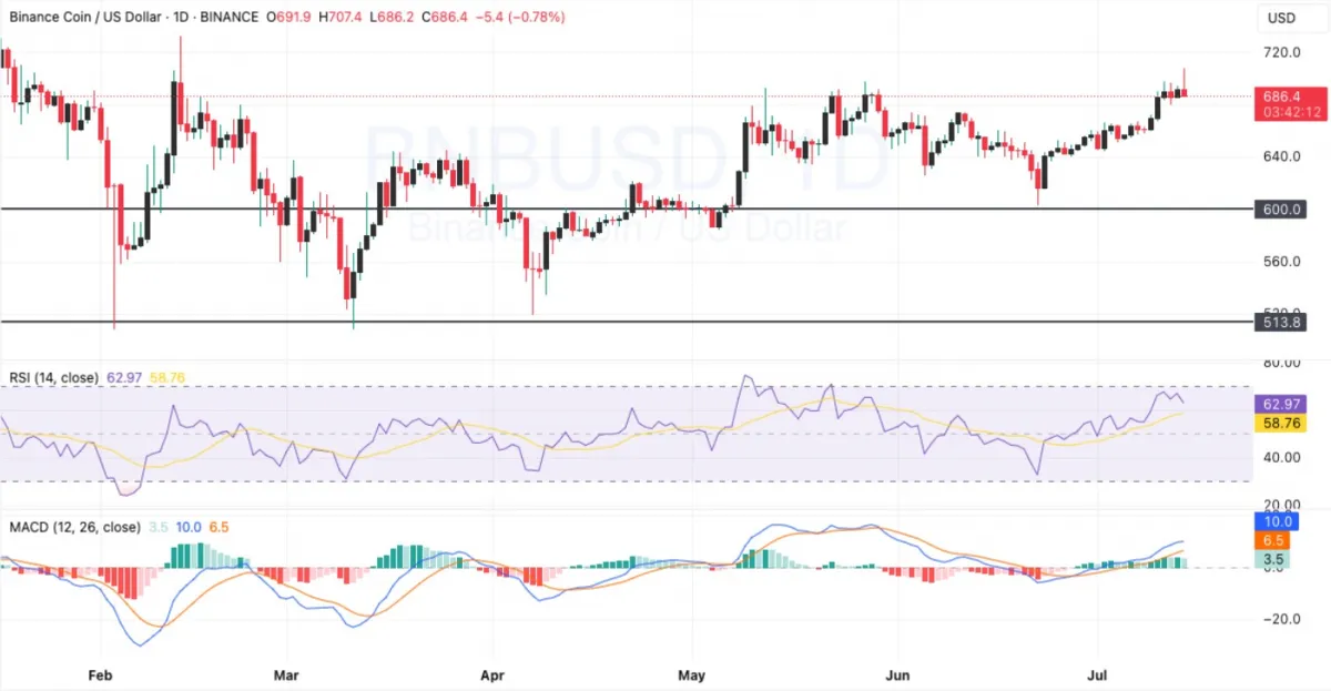Daily BNB/USDT chart