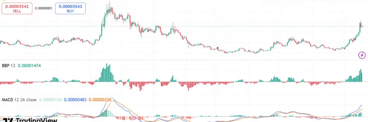 BONK Crypto 1-Day Chart 