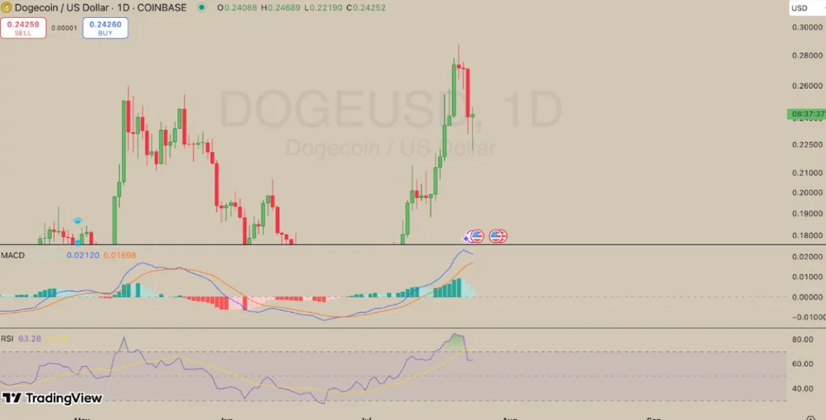 Dogecoin Price Analysis