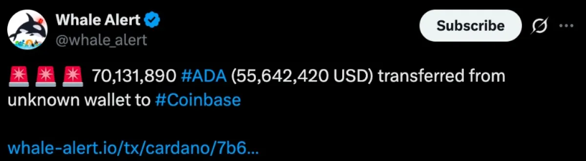 Cardano Whale Movement
