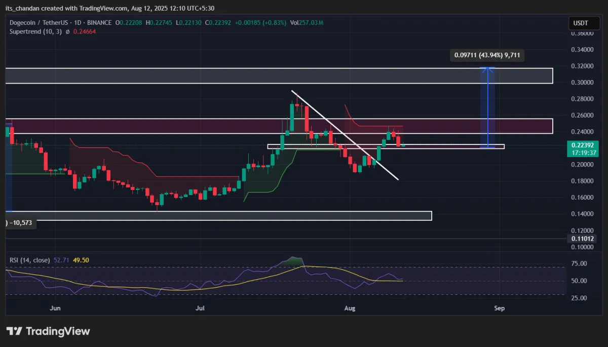 DOGEUSDT Daily Chart