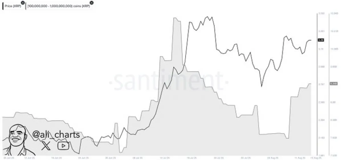 XRP Whales Activity