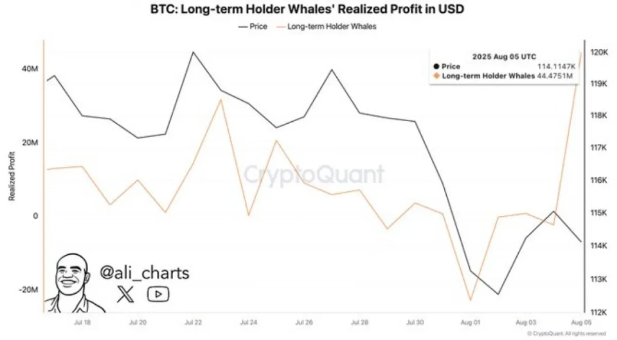 BTC Long-term Holder Whales’ Realized Profit 
